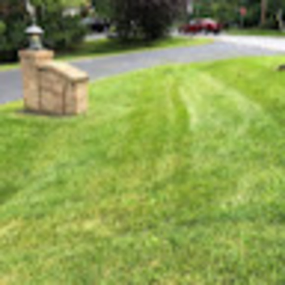 Meet your Posher, Brayden - Picture 1 of 1